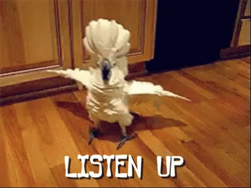 Listen Up Linda Talking Parrot GIF