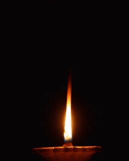 Lit Candle with Choose Light Not Darkness
