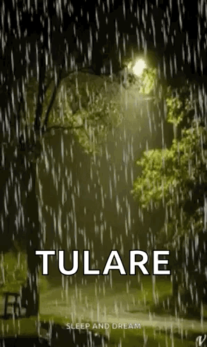 Lit Street Light in Rainy Park