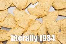 Literally 1984 Chips And Salsa GIF