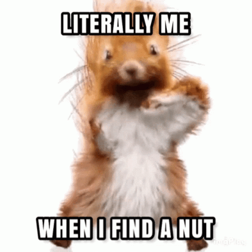 Literally Me When I Find A Nut GIF