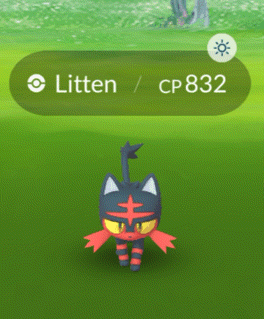 Litten Pokemon CP 832 In Grass GIF