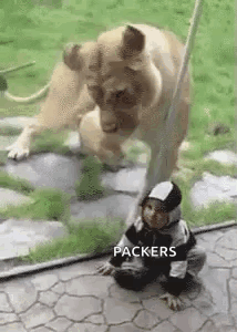 Little Boy Sitting Next To Lion GIF