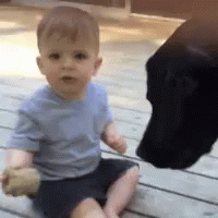 Little Boy Sitting on Deck Next to Black Dog