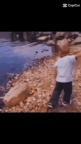 Little Boy Standing on Rock Near Water