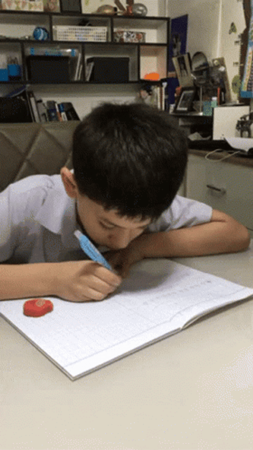 Little Boy Studying Thumbs Up Kid GIF