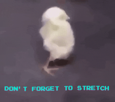 Little Chick Warming Up By Stretching Its Back GIF