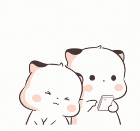 Little Cute Fatty Cat Asking Attention GIF