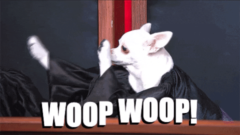 Little Dog Judge Whoop Whoop Dance GIF