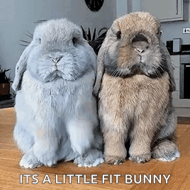 Little Fit Bunny Text GIF