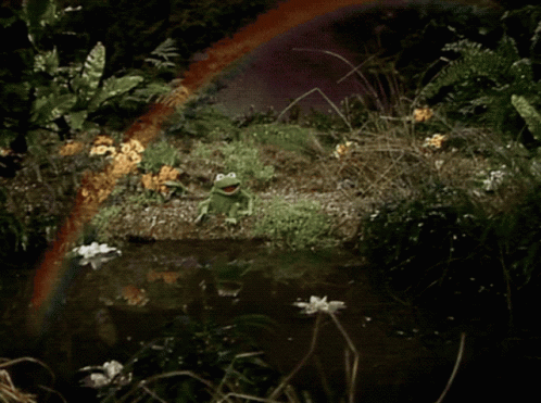 Little Frog In Swamp Side GIF