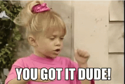 Little Girl In Pink Shirt Saying You Got It Dude GIF