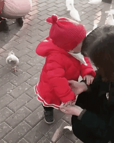Little Girl In Red Jacket Feeding Pigeons GIF