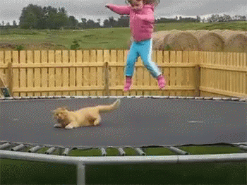 Little Girl Jumping on Trampoline With Cat