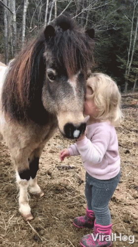 Little Girl Kisses Pony on Nose Viralhog Video