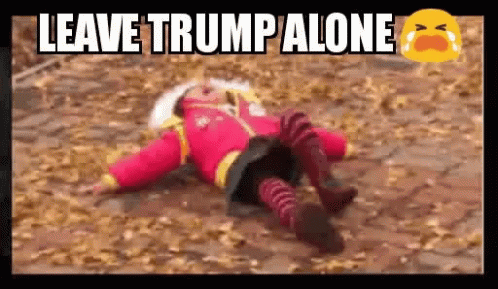 Little Girl Laying on Ground Leave Trump Alone