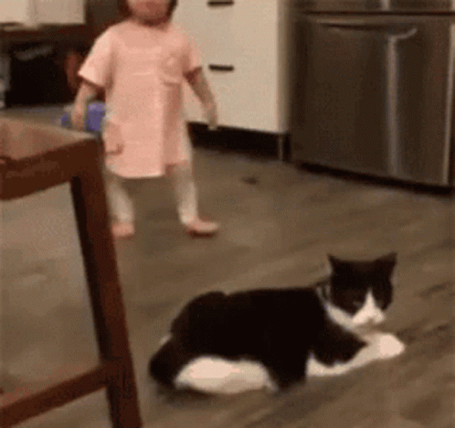 Little Girl Next to Black and White Cat
