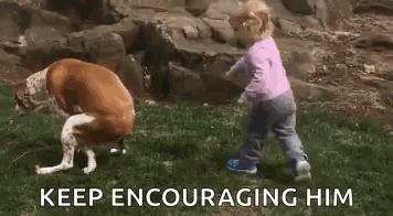 Little Girl Playing With Dog In Field GIF