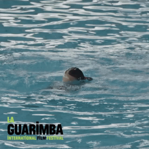 Little Girl Swimming In Pool At Guarimba Film Festival GIF