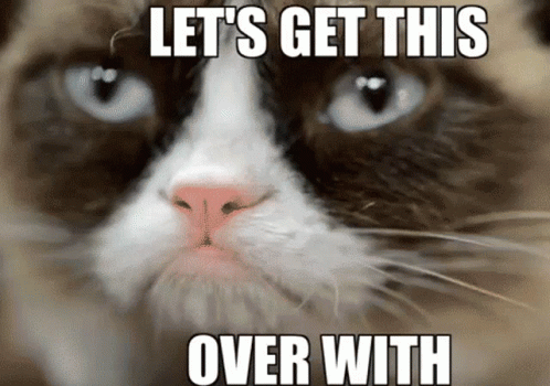 Little Kitty Doing Lets Get It Expression GIF
