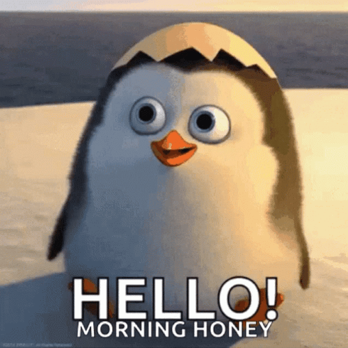 Little Penguin Of Madagascar Good Morning Honey GIF