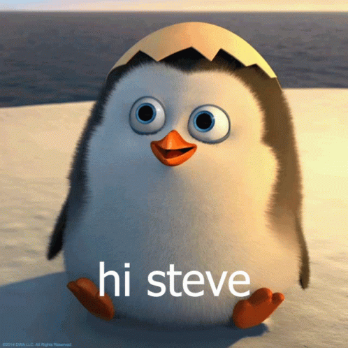 Little Penguins Hi Steve GIF