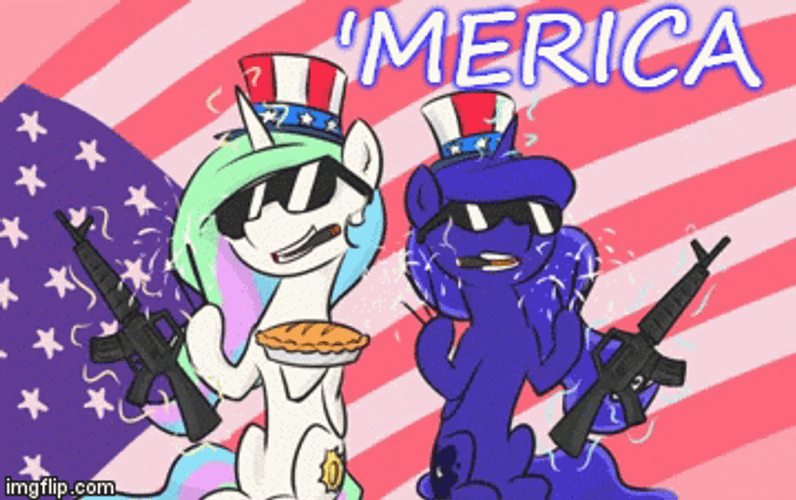 Little Ponies With Guns Merica Murica GIF