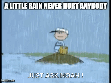 Little Rain Never Hurt Anybody Ask Noah