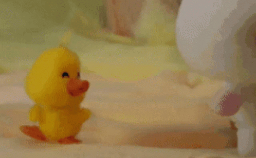 Little Yellow Duck Waddle Back And Forth GIF