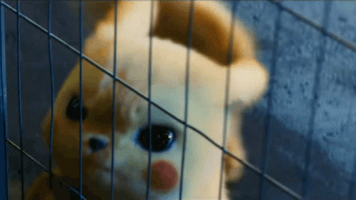 Live Action Pokemon Pikachu Locked In Cage GIF