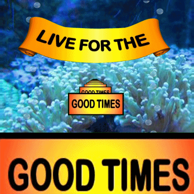 Live For The Good Times Underwater Loop GIF