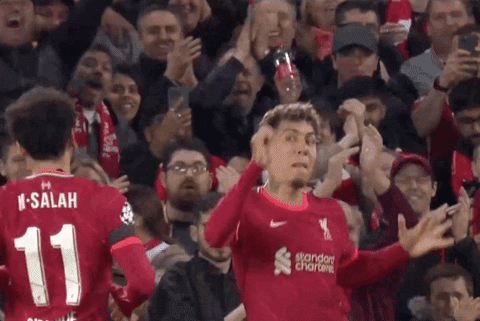 Liverpool Fc Bobby Firmino Kicking GIF