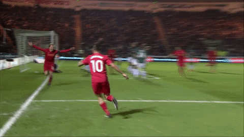 Liverpool Fc Celebrating Teammate GIF
