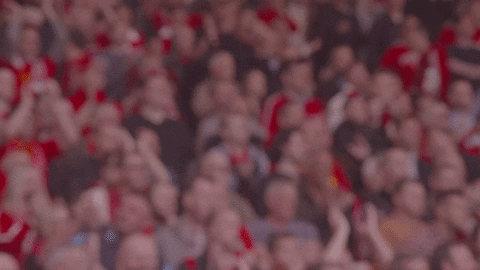 Liverpool Fc Fans GIF