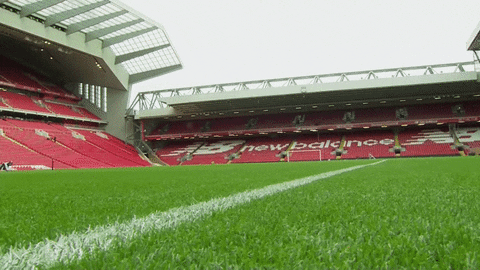 Liverpool Fc Field Grass GIF