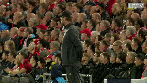 Liverpool Fc Klopp Celebrating GIF