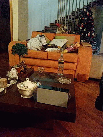 Living Room With Couch Table and Christmas Tree