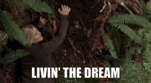 Living The Dream Climbing Tree GIF