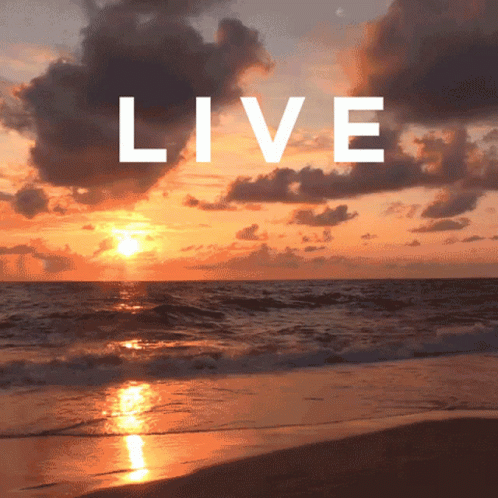 Living The Dream Sea Sunset GIF
