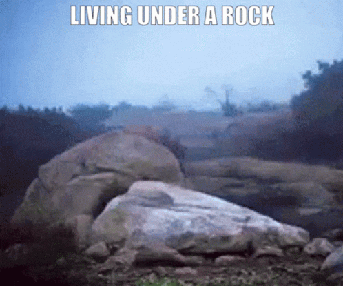 Living Under Rock Text