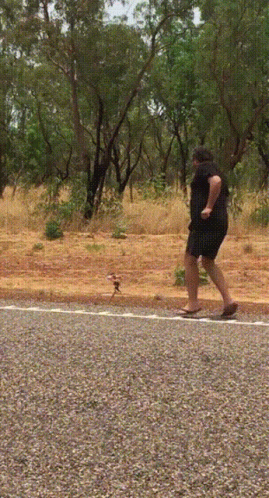 Man Chased By Frilled Lizard GIF