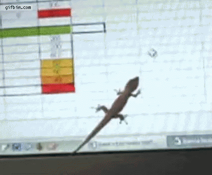Lizard Chasing Mouse Cursor GIF