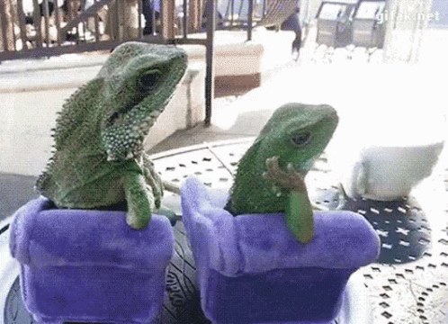 Cute Lizards Chilling In Swivel Chair GIF