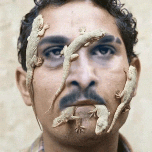 Arab Man Lizards Face App GIF