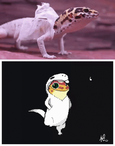 Lizard And Lizard In Hoodie GIF