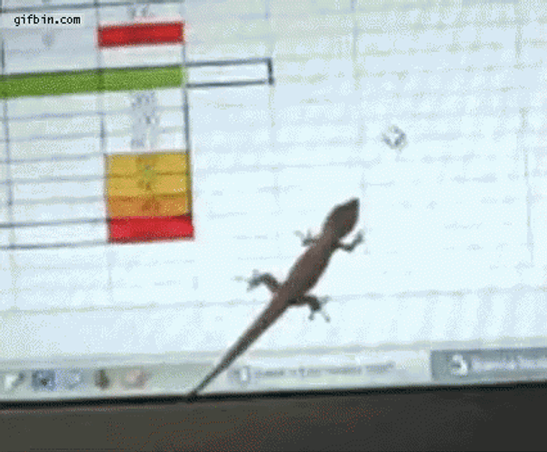 Lizard Chasing Mouse Cursor GIF