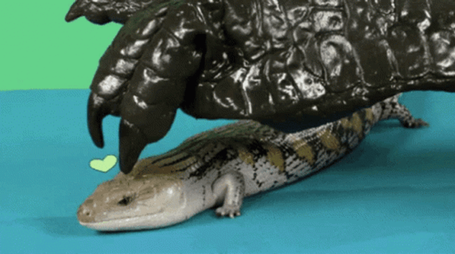Lizard Enjoying Head Scratches GIF