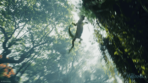 Lizard Hanging From Tree Saying Moana