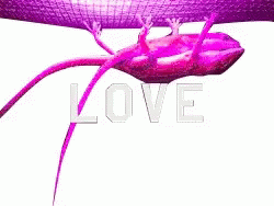 Lizard In Flashing Colors GIF