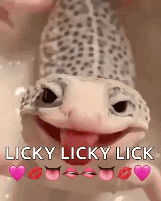 Lizard Licking Person